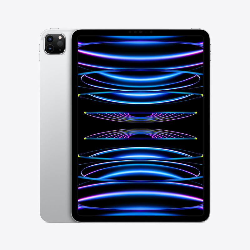 Apple iPad Pro 11 inch 2022 (Gen 4) Wifi 256GB / Silver / Premium Condition