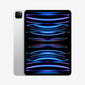 Apple iPad Pro 11 inch 2022 (Gen 4) Wifi 128GB / Silver / Premium Condition #Colour_Silver