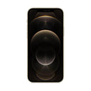 Apple iPhone 12 Pro Max 256GB / Gold / Premium Condition